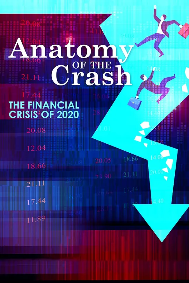 anatomy-of-the-crash_hero